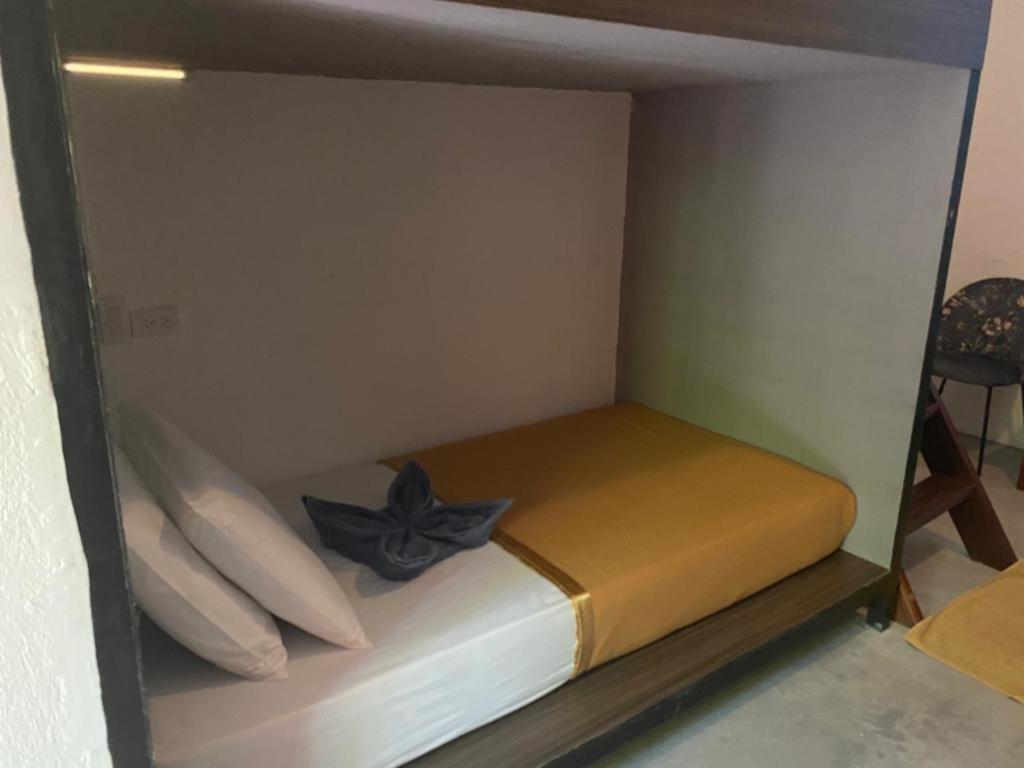 Lexias Hostel And Workspace - Siargao Catangnan 외부 사진